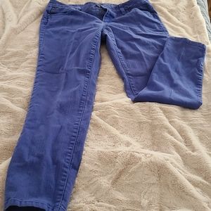 Ann Taylor Loft Skinny Jeans